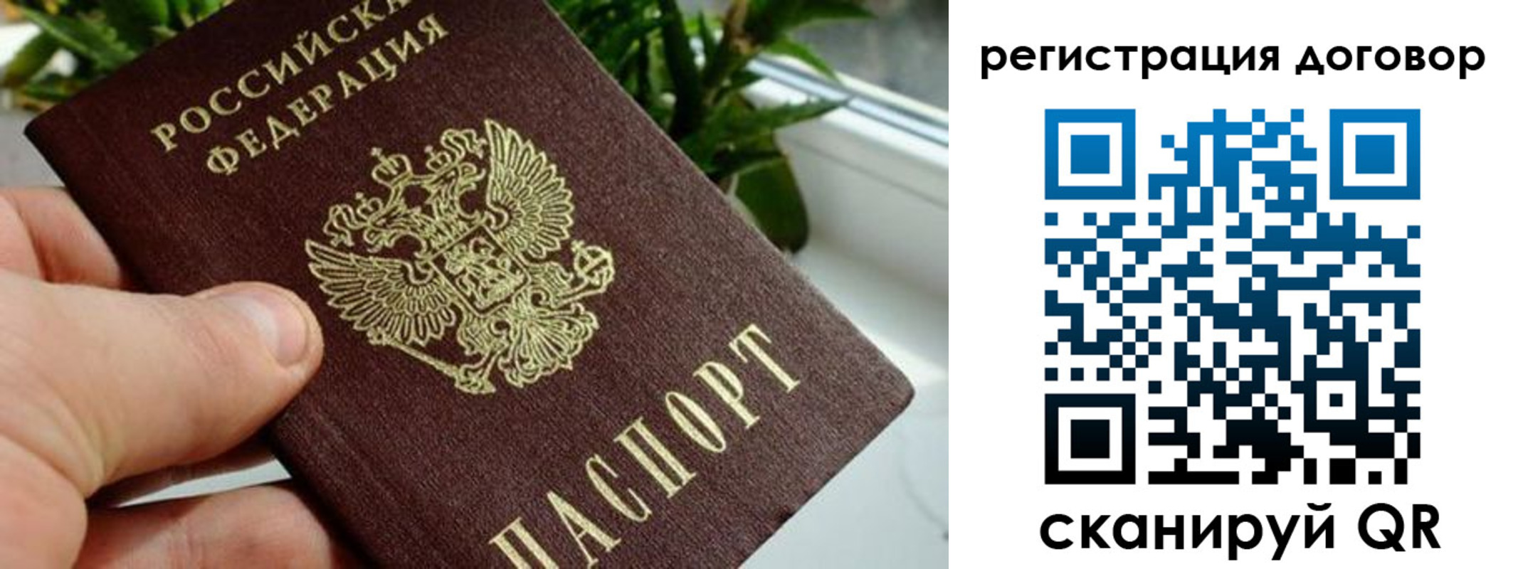 прописка ребенка в Камчатской области